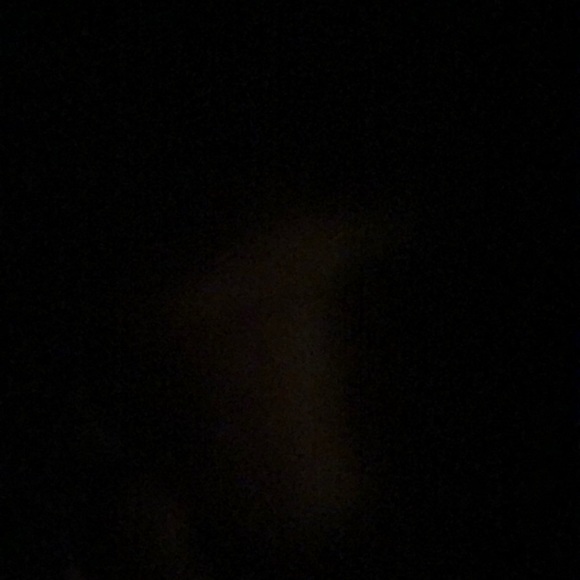 Meet your Posher, Randy - Picture 1 of 1